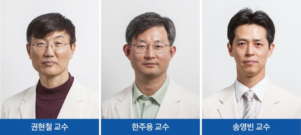 (왼쪽부터) 권현철 교수, 한주용 교수, 송영빈 교수.