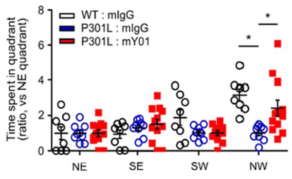 ■ 단일클론항체 'ADEL-Y01'의 효과. 수중 미로 테스트에서 인지기능 64.7% 향상이 확인됐다. ADEL-Y01(빨간색), 대조군 항체(파란색).