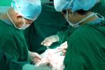 온종합병원 러시아 위암환자 수술