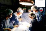 예비 의사들 '외과수술' 관심 집중