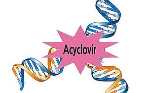 항바이러스제 Acyclovir(제71화)