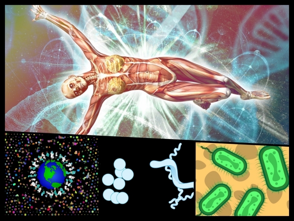 질병 극복의 열쇠로 떠오른 마이크로바이옴은 세균뿐만 아니라 바이러스, 곰팡이, 기생충 등 다양한 기생생물을 포함한다. [사진=pixabay] ⓒ의협신문