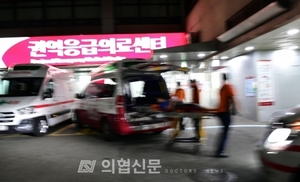 중앙응급의료센터 독립법안 '지지'